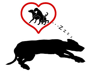 Image showing Dog dreams