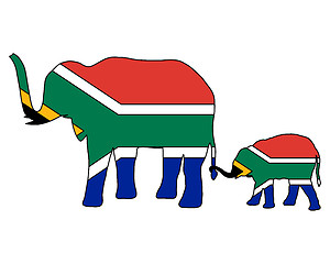 Image showing South African elephants