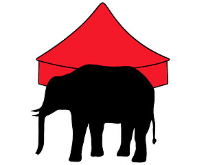 Image showing Elephants in circus