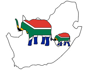 Image showing South African elephants