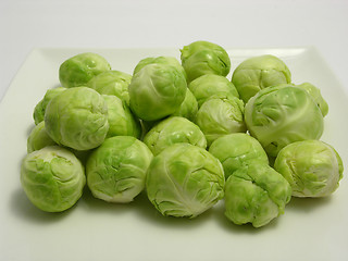 Image showing Brussels sprouts arranged on a white plate 