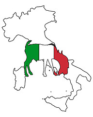 Image showing Italian he-goat