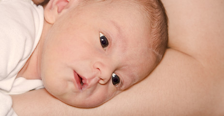 Image showing Baby portrait