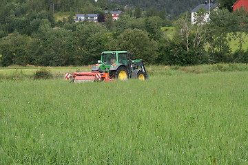 Image showing Harvesting grass