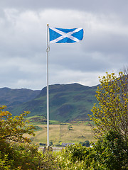 Image showing Scotland flag waving in the wind