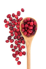 Image showing Cranberry Jewels