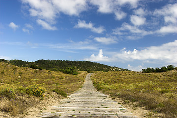 Image showing Wood path