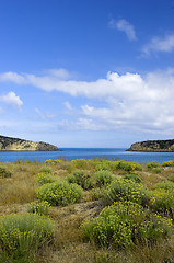 Image showing Blue Bay
