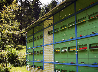 Image showing apiary 