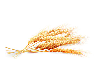 Image showing Wheat ears isolated on white background. EPS 10