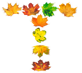 Image showing Letter A composed of autumn maple leafs