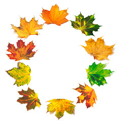 Image showing Letter O composed of autumn maple leafs