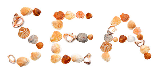 Image showing Text SEA composed of seashells