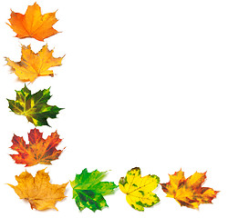 Image showing Letter L composed of autumn maple leafs