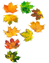 Image showing Letter P composed of autumn maple leafs