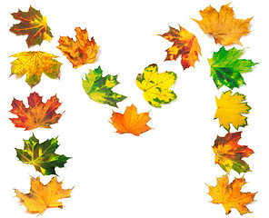 Image showing Letter M composed of autumn maple leafs