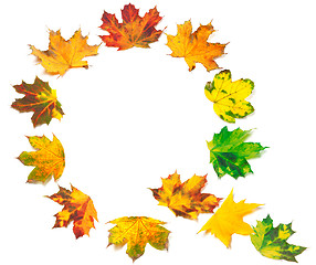 Image showing Letter Q composed of autumn maple leafs