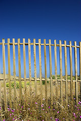 Image showing Fences in blue