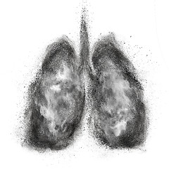 Image showing Lungs made of black powder explosion isolated on white