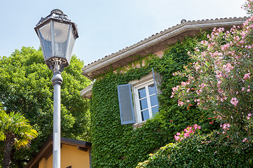 Image showing House with ivy and flowers in Italy