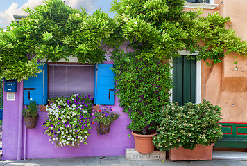 Image showing Color house on Burano island near Venice , Italy