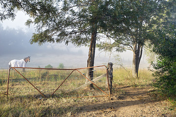 Image showing Misty morning countryside