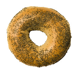 Image showing Poppy Seed Bagel Against White