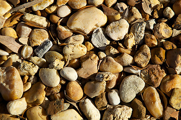 Image showing river stones with leaves background