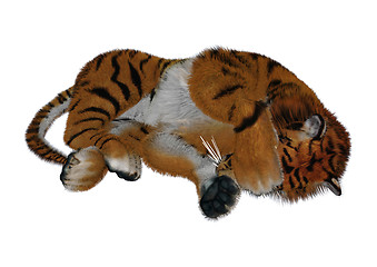 Image showing Sleeping Tiger