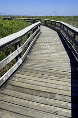 Image showing Wooden walkway anhinga trail everglades state national park florida usa