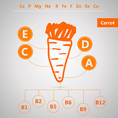 Image showing Vegetarian food. Vector infographic for content of vitamins and minerals in carrot.