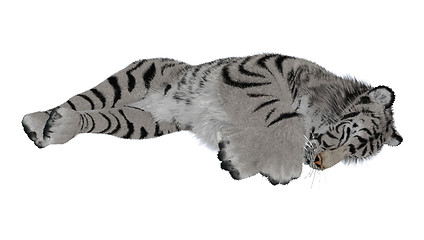 Image showing Sleeping Tiger