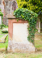 Image showing Very old gravestone with green leaves