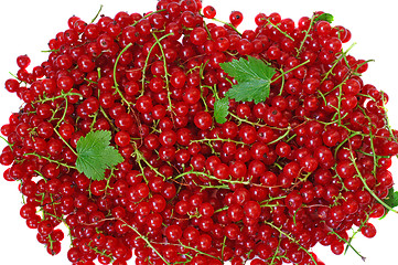 Image showing Ripe red currant close-up as background