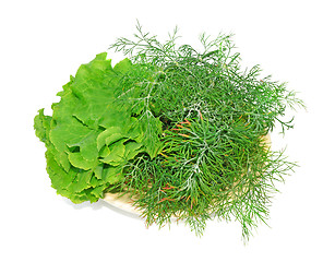Image showing Plate with lettuce and dill isolated