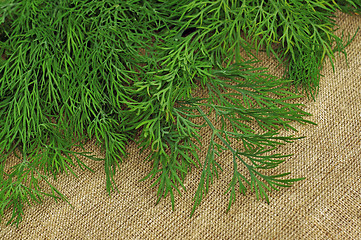 Image showing Green dill on the rough fabric as the background