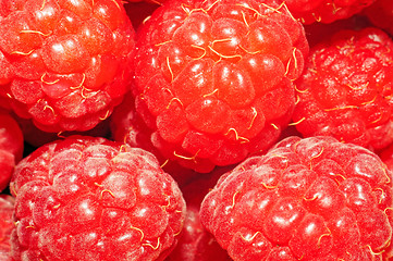 Image showing Raspberries very close up as background