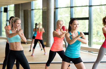 Image showing group of women working out in gym