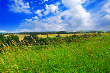 Image showing Summer landscape