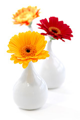 Image showing Interior design vases