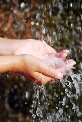 Image showing Water in hands