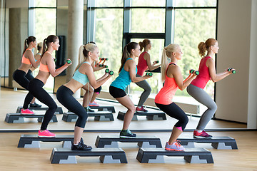 Image showing group of women with dumbbells and steppers