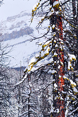 Image showing Mountain landscape