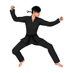 Image showing Martial Arts