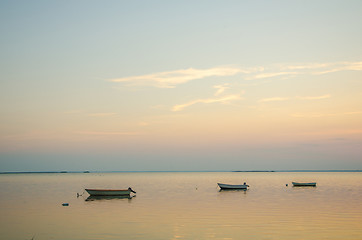 Image showing Anchored rowing boats at twilight