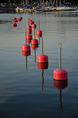 Image showing Row of red bouys