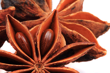 Image showing anise star (spice) isolated 