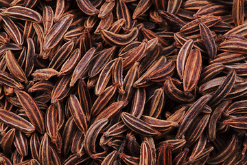 Image showing caraway spice texture