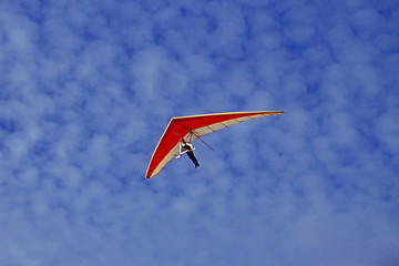 Image showing Glider