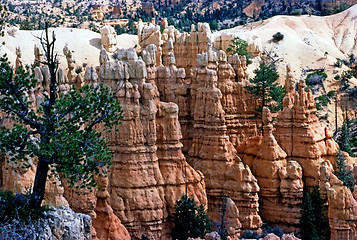 Image showing Bryce Canyon